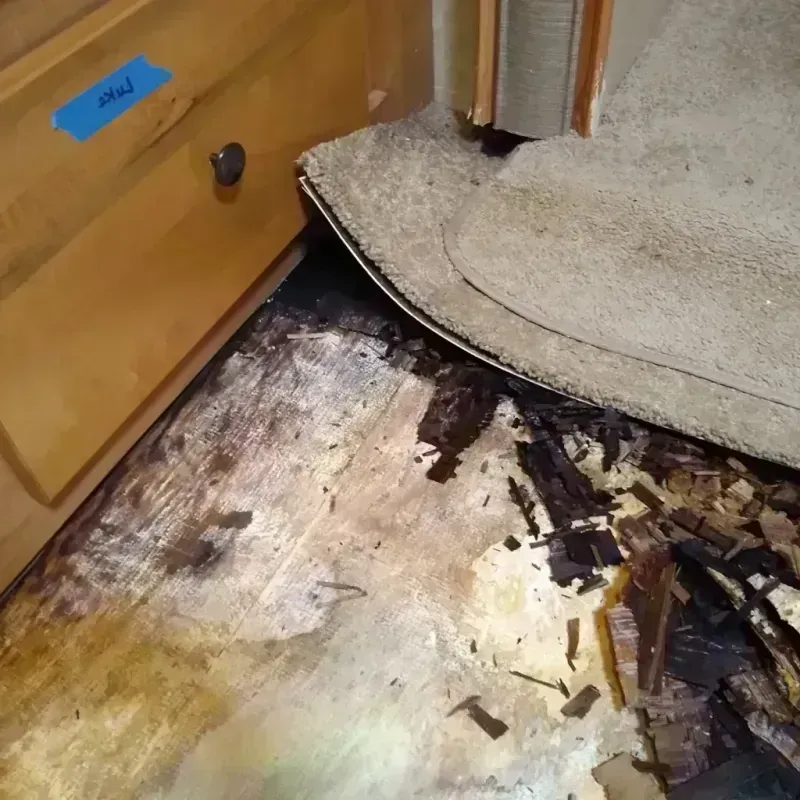 Best Wood Floor Water Damage Service in Freeborn County, MN